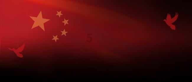 解救金刚鹦鹉